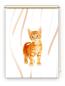 Preview: Rollo Bella vertic Katzenbaby, Rollo, Motivrollo, Rollo mit Druck, Fotorollo, bedrucktes Rollo, Fensterrollo,verdunkelndes Rollo, Sonnenschutz Rollo